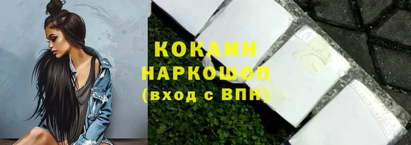 соль ск Алексин