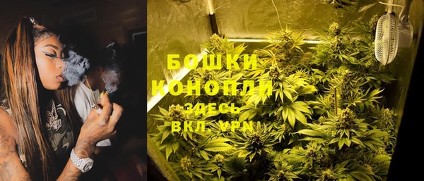 соль ск Алексин