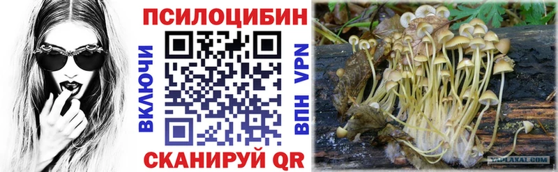 Галлюциногенные грибы ЛСД  KRAKEN зеркало  Санкт-Петербург 