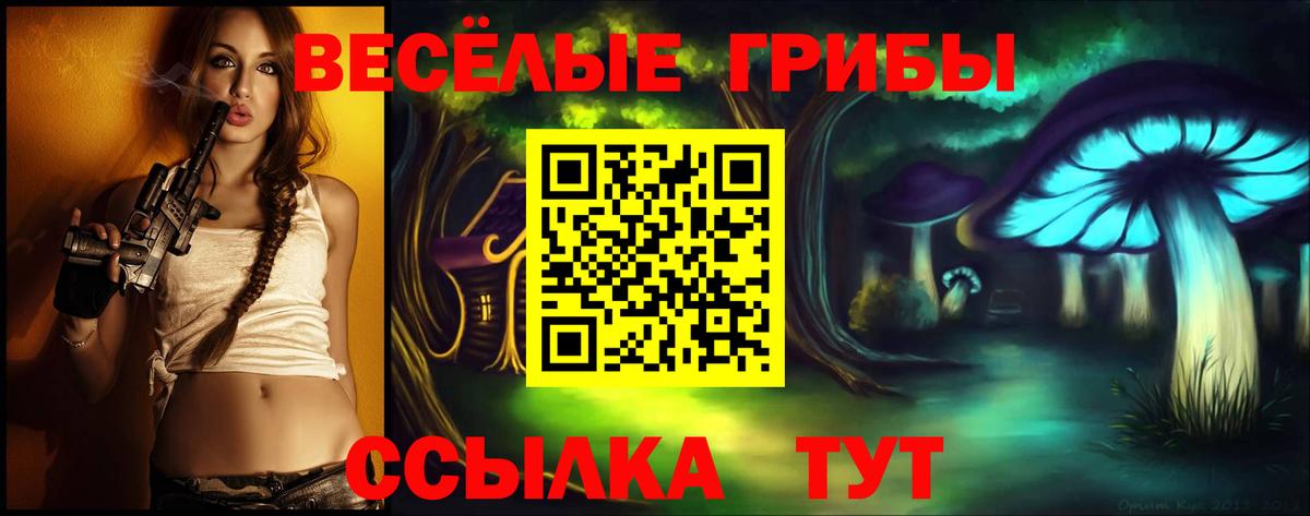 Санкт-Петербург  Галлюциногенные грибы GOLDEN TEACHER  купить наркотик  Вход с VPN 