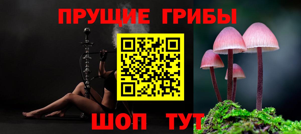 Псилоцибиновые грибы прущие грибы Санкт-Петербург